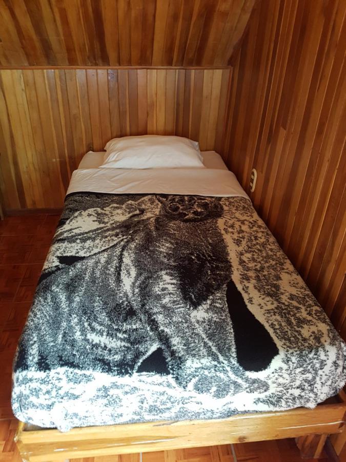 Hostel Monteverde Backpackers ภายนอก รูปภาพ